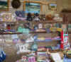 shop8.jpg (62016 bytes)